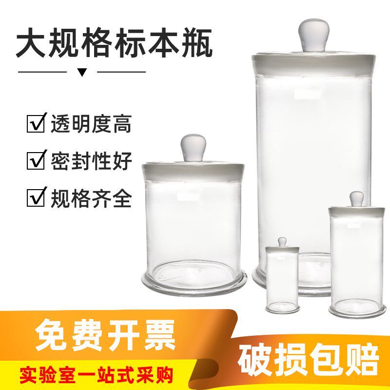 华鸥大规格玻璃标本瓶 实验室透明标本缸加厚密封样品展示瓶