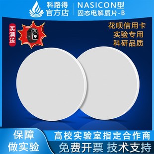 NASICON型固态电解质片 Na3Zr2Si2PO12电池料料 B钠锆硅磷氧NZSPO
