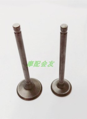 适用新优悦K44优酷雅志K48弯刀睿御WH110T-2A-2E-2D-3-5-6气门杆