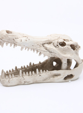 鱼缸水族箱造景装饰摆件 造景鳄鱼树脂头骨爬虫躲避 水族馆装饰