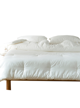 单双人保暖春秋被夏季空调薄被四季款加厚冬季被子白色被芯