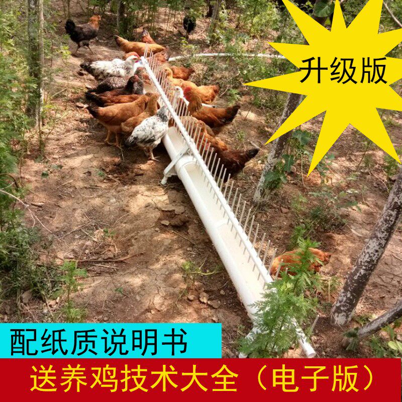 鸡用自动饮水器全自动喂水新款鸡喝水的养鸡鸭鹅鸽子家禽喂水器