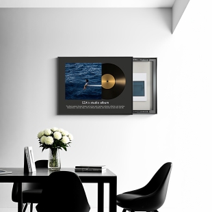 高级感唱片复古电表箱装饰画配弱电箱电闸盒子免打孔客厅遮挡挂画