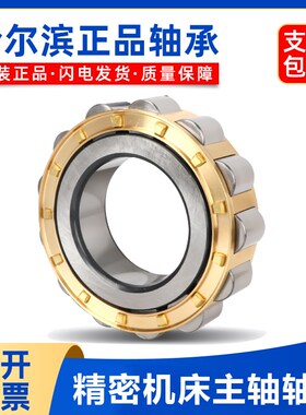 哈尔滨圆柱滚子轴承 RN 204 205 206 207 208 209 305 306 307 M