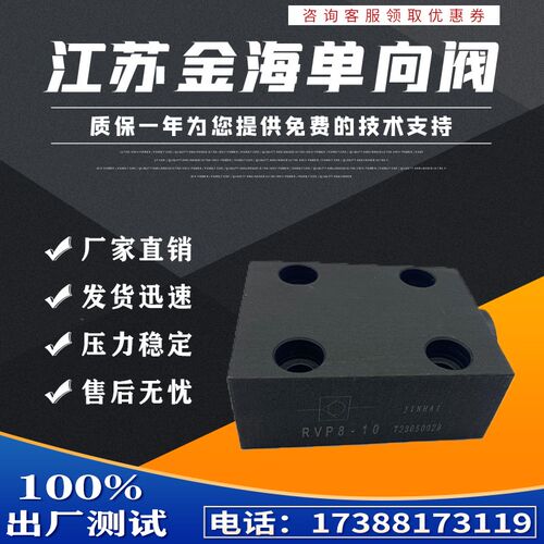 金华单向阀 RVP10-10B RVP6RVP8RVP12RVP16RVP20RVP25RVP30RVP40