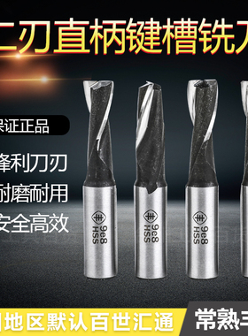 常熟丰牌直柄二刃键槽立铣刀两双刃开槽刀3456789 10 11 12 14 15