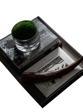 样板间客厅茶几艺术品托盘组合摆件成品花艺绿植现代轻奢软装饰品