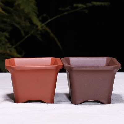 多肉菖蒲盆栽绿植盆景手工方形微型盆景花卉植物紫砂拇指花盆