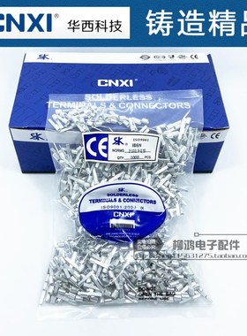 正品华西 CNXI 片形裸端子HDBN2-10  扁形裸端头 TP型 1000只