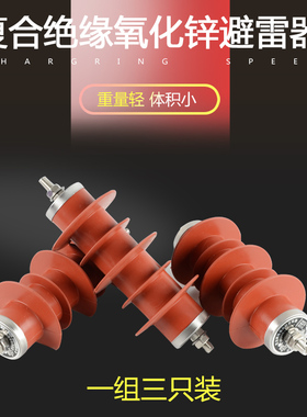 氧化锌避雷器10KV国标HY5WS-17/50高压户外复合绝缘一体式避雷器