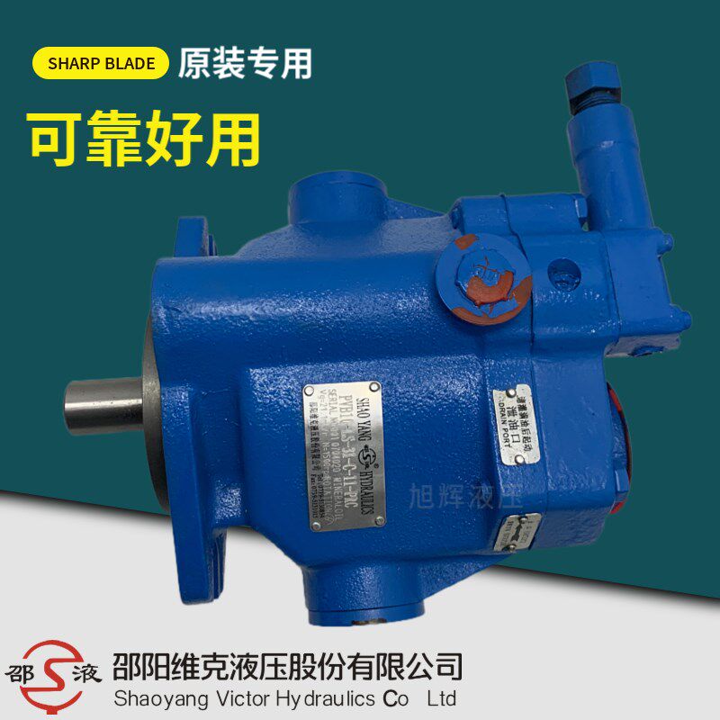 邵阳维克PVB5-LS-20-C-11-PRC柱塞泵 RSW-20-CC PVB6 PVB10 PVB15