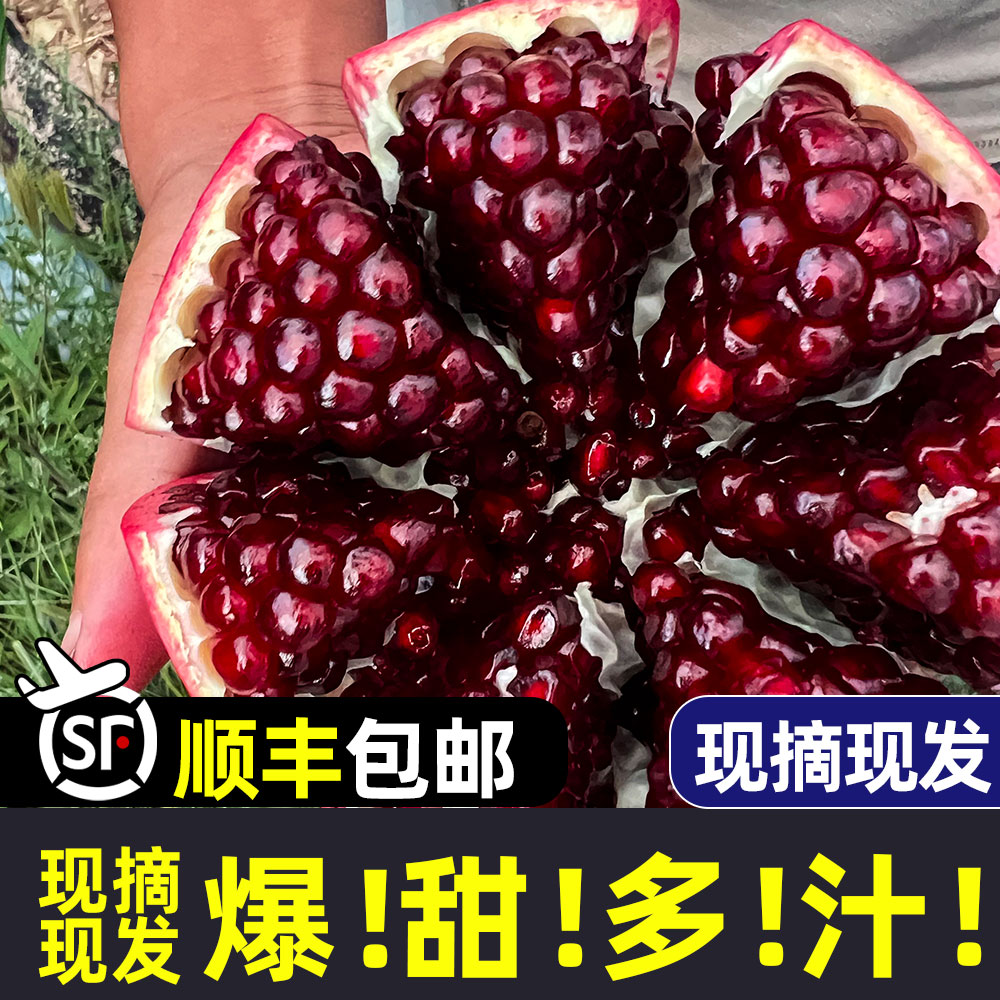 送礼首选当季新鲜水果四川会理突尼斯甜软籽石榴一级特大果礼盒装