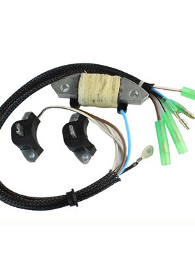 2冲程30马力h船外机发电线圈69P-85541-09 舷外机点火线圈