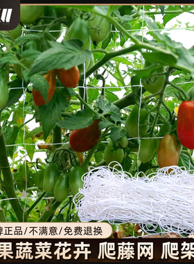 爬藤网百香果爬藤架种植网阳台攀爬网白色花网西瓜爬网丝瓜搭架网