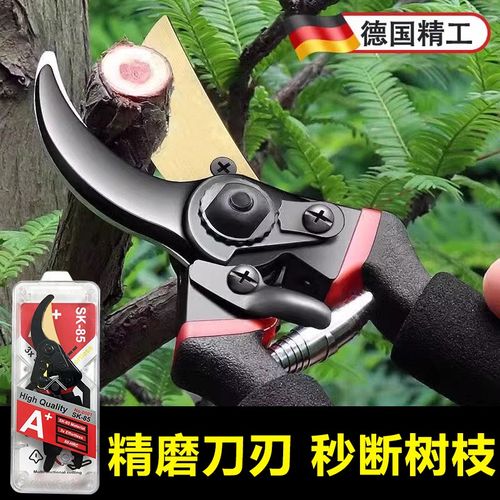 塑壳包装园艺剪刀果树修枝剪剪树枝专用剪刀德国工艺修剪枝花艺剪