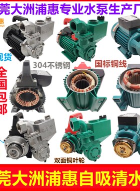 皇球大洲浦惠水泵自吸泵清水泵家用增压泵井水抽水泵WQ\QB\1ZDB