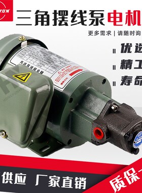220V电动机油齿轮油泵TOP-12A机床润滑TOP-11/13A三角摆线泵电机