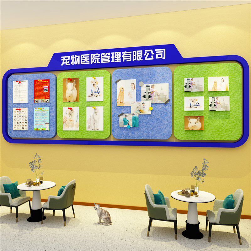 口才教室布置装饰毛毡播音学员风采展示照片墙贴培训机构文化背景图片