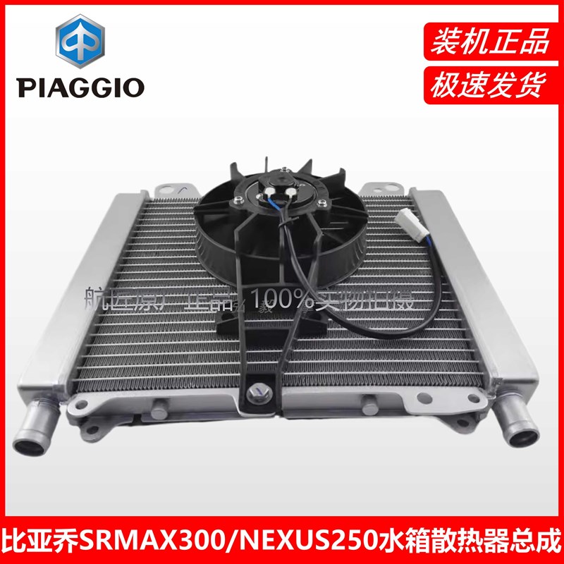 适用于比亚乔NEXUS250原厂水箱风扇SRMAX300原装水箱散热器