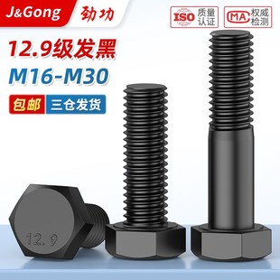 m16m18m20m22m24m27m30 12.9级外六角螺丝加长高强度螺栓