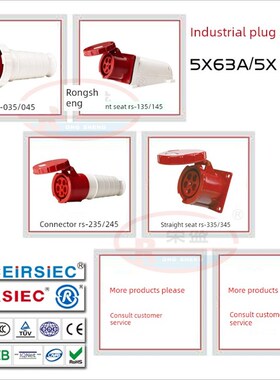 Ceirsiec工业插头和插座5芯63A/125Ars-035/Rs335/Rs135 435