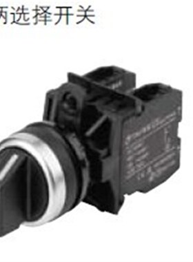 上海天逸TAYEE LA42X29-10/01B 两位短柄选择开关 信号开关