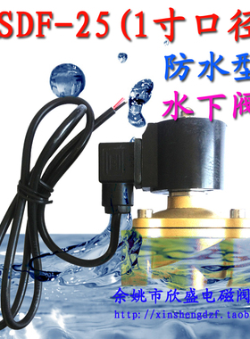 1寸喷泉电磁阀 dn25潜水电磁阀XSDF-250-25 快速开闭 电磁阀门