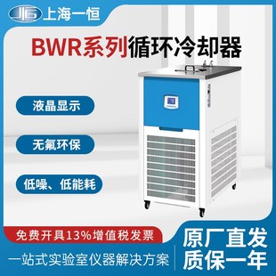 10a实验室低温数显冷却液循环泵 05A 上海一恒循环冷却器BWR 03A