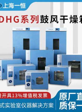 上海一恒电子电热恒温鼓风干燥箱实验室DHG9030A工业烘箱烤箱