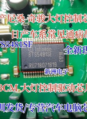 全新BTS5481SF 适用日产尼桑汽车BCM大灯控制控制芯片 专业汽车IC