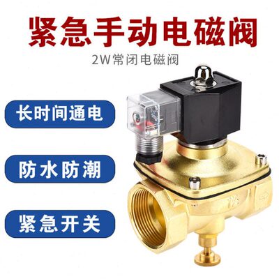 水管自动排水控制电磁阀带手动紧急开关4分6分20 25煤气220VDC24V