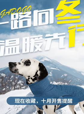 DGDG狗狗冬季保暖棉夹克 冬季新品北境暖巢 牛仔蓝