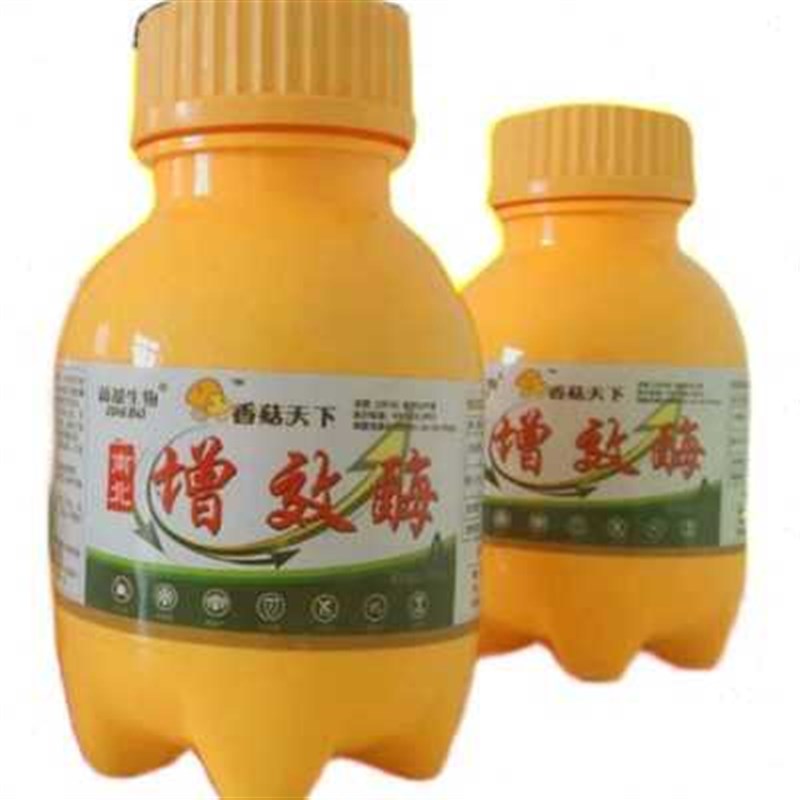 增效催 蕾  开肥叶面r肥伞香菇  肥厚壮肉质 菇酶食用菌延长