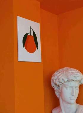 艳丽亮橘金橘蟹黄晚霞红日网红爱马仕橙水性油漆乳胶漆内墙橙色