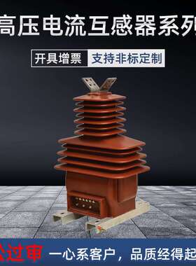 LZZBW-35高压电流互感器户内干式40.5kv 800/5变比0.5准确级10P20