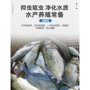 蚂蟥克水产养殖鱼药蚂蟥鱼塘水库驱除水蛭蚂蟥椎体虫蚂蟥净