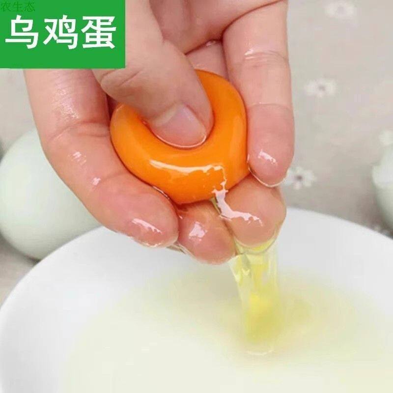 【助农】正宗五黑鸡绿壳土鸡蛋绿壳蛋30-50枚乌农家鸡蛋单枚35-45