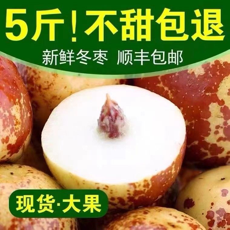 (高品质顺丰)山西庙上冰糖冬枣脆甜特大当季新鲜水果3/5斤