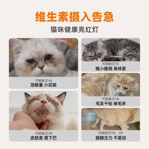 唯特犬猫冻干养护猫咪维生素b冻干狗狗零食防掉毛复合维生素专用