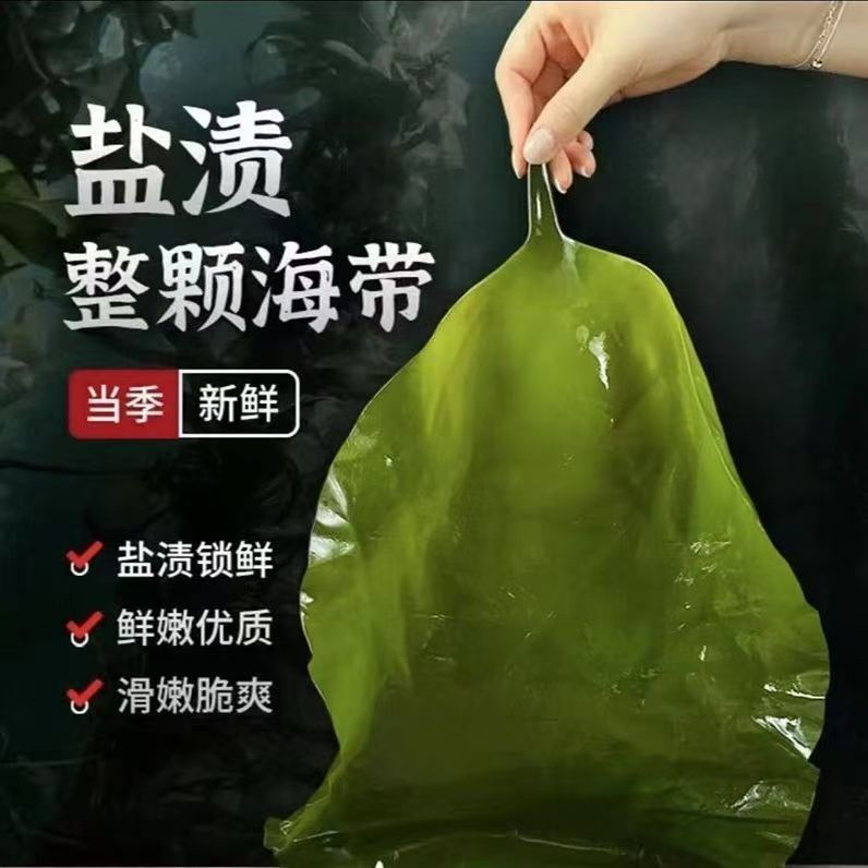 旭兆鲜生盐渍海带包饭饭包凉拌火锅非干品囤货产地鲜嫩低脂耐存