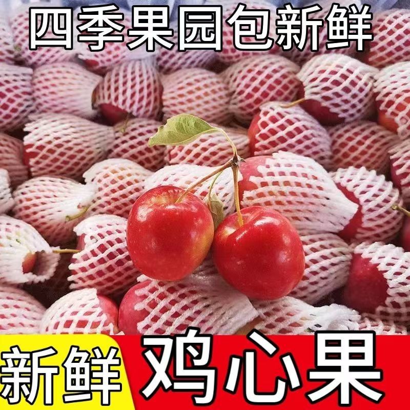 【东北地当季水果现摘】新鲜采摘甜多汁锦绣海棠新品种鸡心果