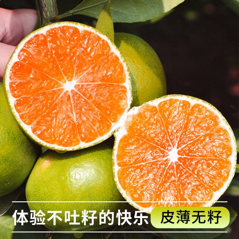 【酸甜无籽】湖北宜昌蜜桔青皮橘子多汁应季自然熟新鲜水果整箱包