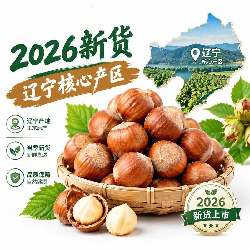 2026东北大榛子 达维榛子新货薄皮原味休闲零食 坚果炒货