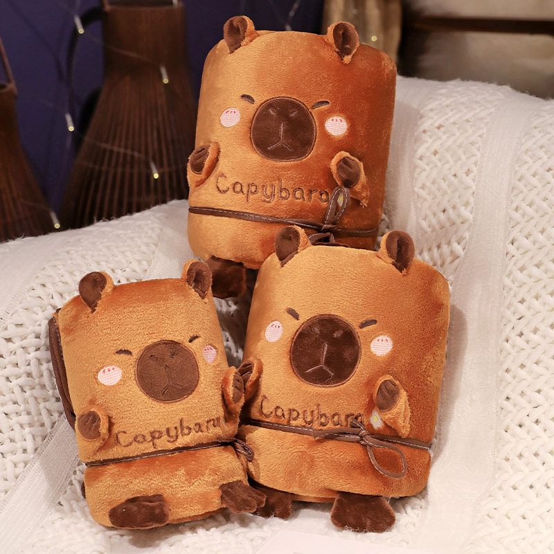 卡皮巴拉抱枕被子两用午休办公室午睡毯子儿童珊瑚绒小毛毯汽车载