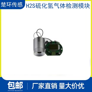 固定壁挂式 H2S模块硫化氢感测器模块警报器控制器变送器检测仪