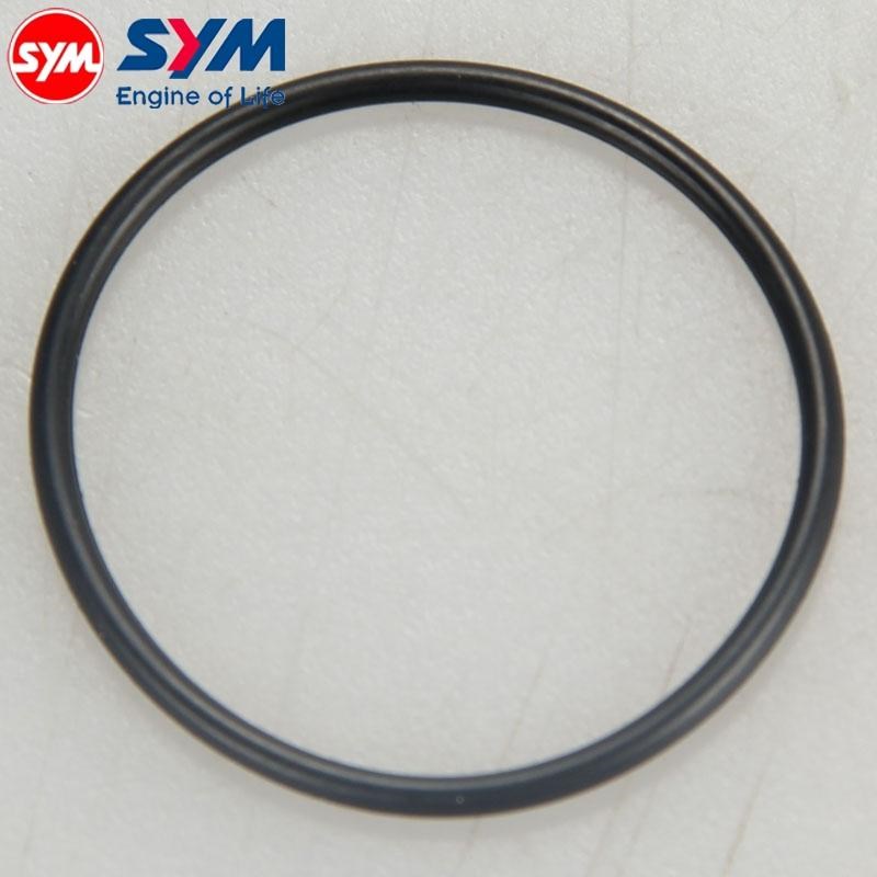 三阳 XS175 拉力车 DRG 哈士奇 黑曼巴 150/158 水泵密封圈 原装