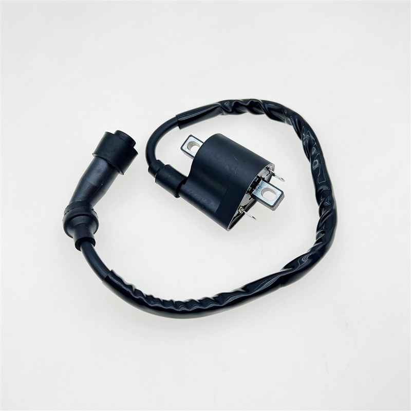 适用于龙佳Lj300 Vmaxie300维多利亚150 Xdv250Si高压封装点火线