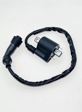 适用于龙佳Lj300 Vmaxie300维多利亚150 Xdv250Si高压封装点火线