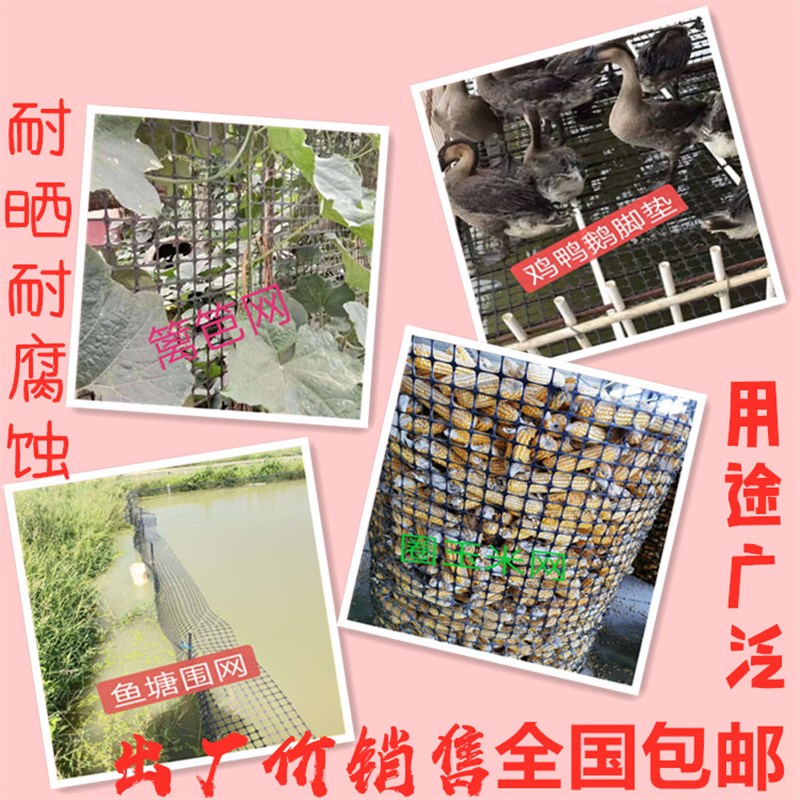 养殖网塑料网格防k护网护栏网围栏网黑色小孔加厚四米宽鸡舍漏粪