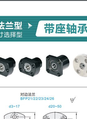 BFP23-6804VVBFP24-6206DDBFP26-6207DD